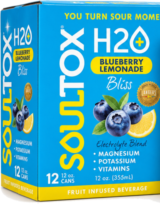 Blueberry Lemonade Bliss — 12-can case