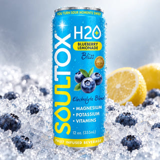 Blueberry Lemonade Bliss — chilled on ice