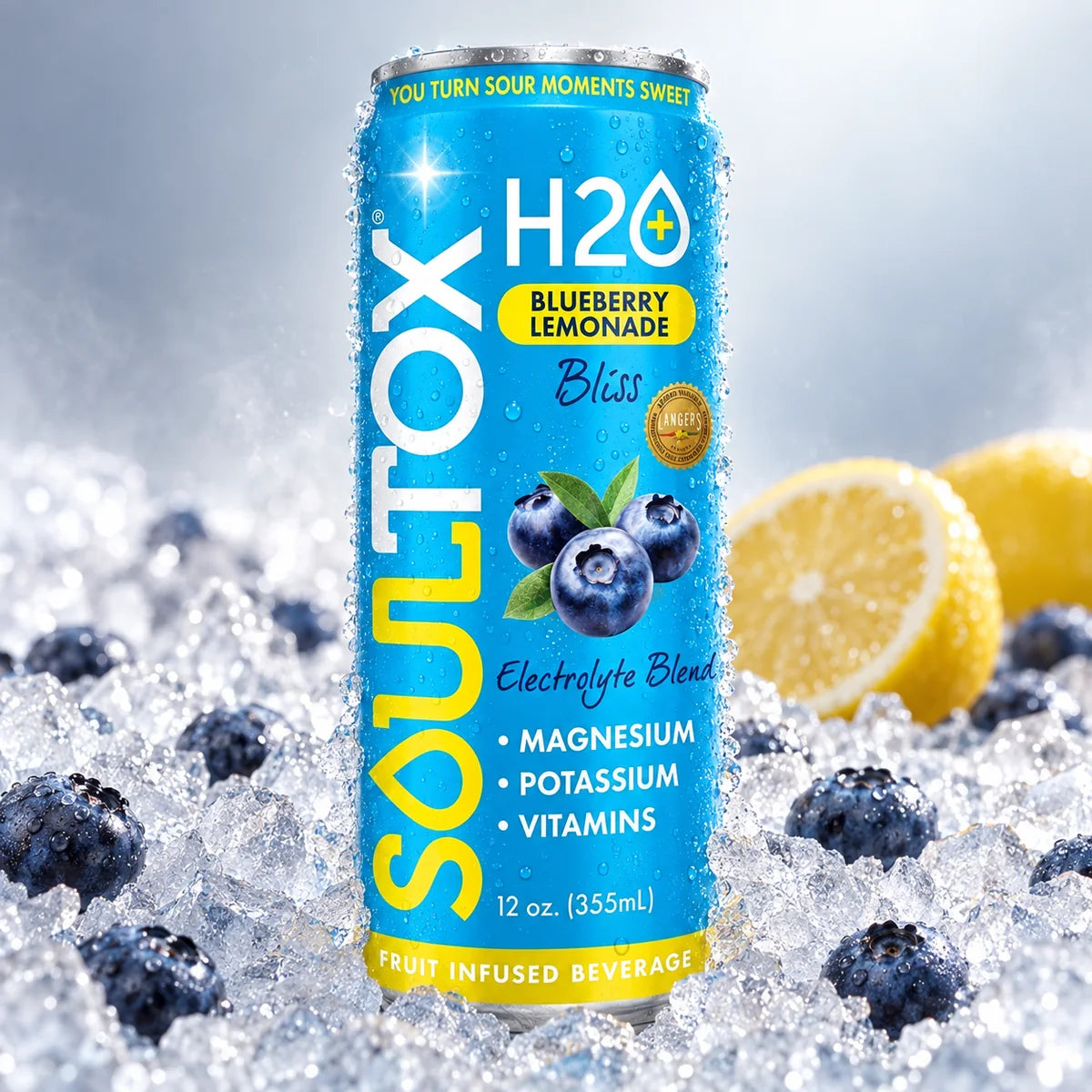 Blueberry Lemonade Bliss